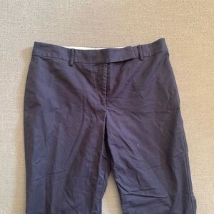 Ann Taylor Women's Dark Blue Pants